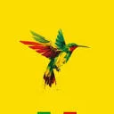 Rasta Colibri